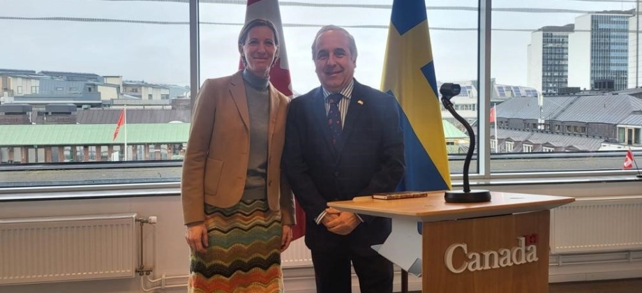 Embajador Guillermo Francisco Reyes González participó en el panel para la equidad de género organizado por las embajadas de Canadá, Argentina y Alemania